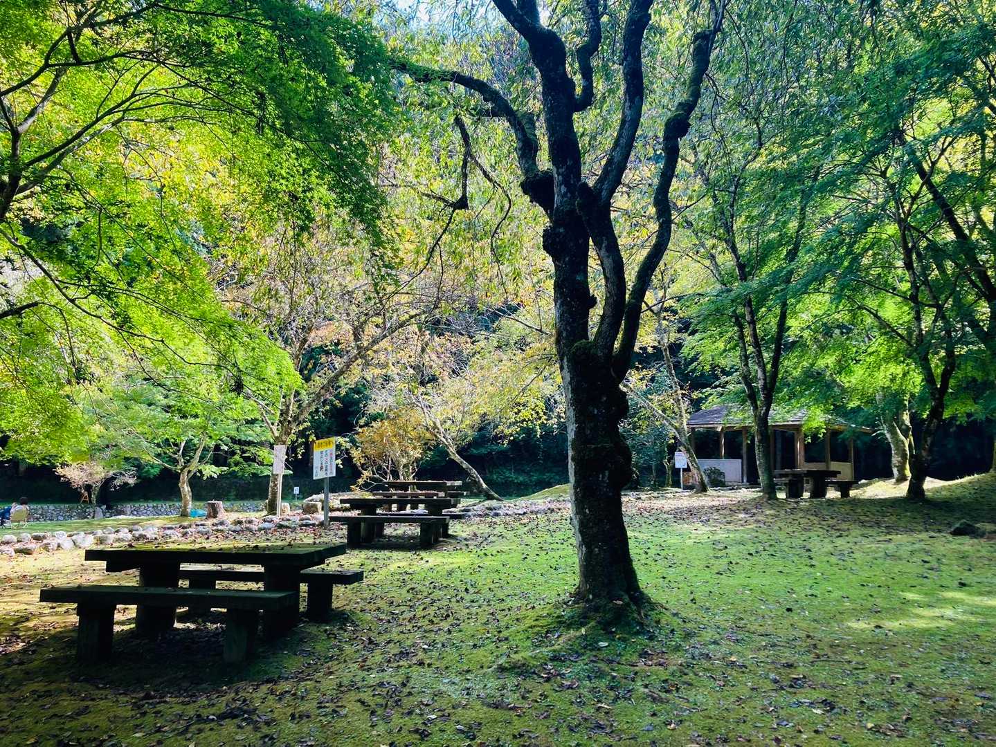 この辺も綺麗に整備されてて夏とか人多そう！