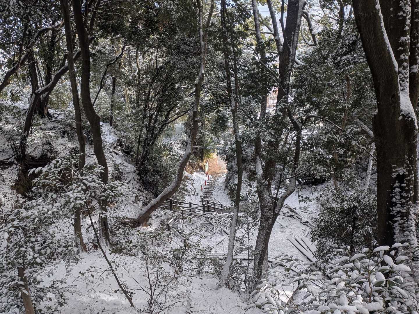 登山道の終わりとともに雪も無くなりました
お疲れ様！❄
