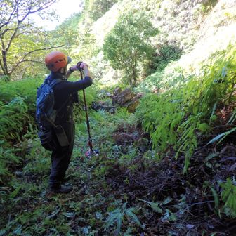 ＜作業後＞登山口案内標は要打ち直し。ここは来年もシダ刈りしたほうが良さそう。