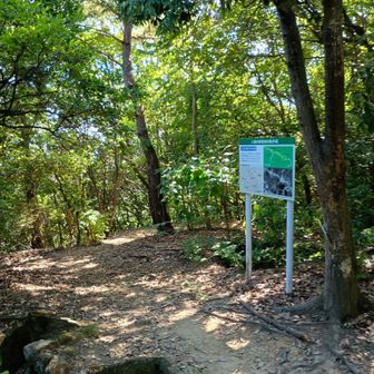 二葉山山頂。
かつて、高射砲台があったそうです。