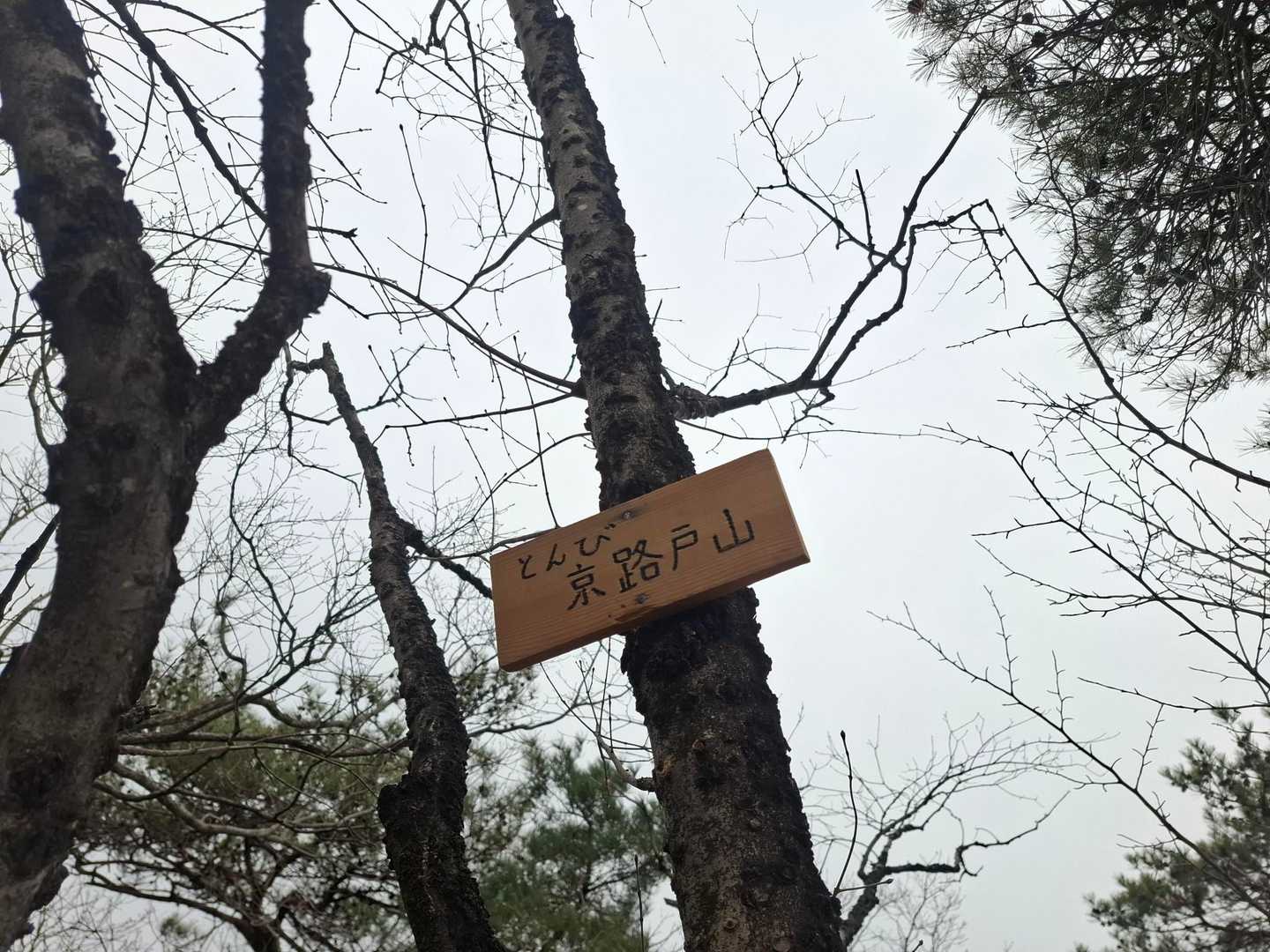 ４座目きょろど山