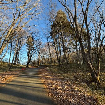 第3駐車場から上日川峠までは車道歩き2分。