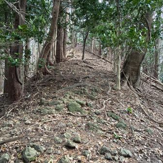 南側の山頂を目指します🥾
人工的な敷石かな❓歩きやすい☺️