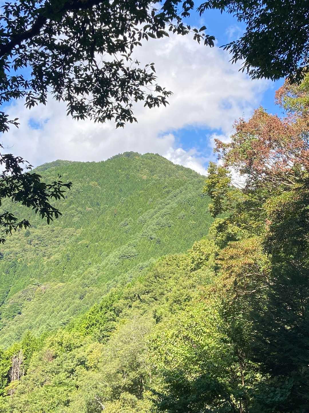 風越山、またお邪魔します🥹՞