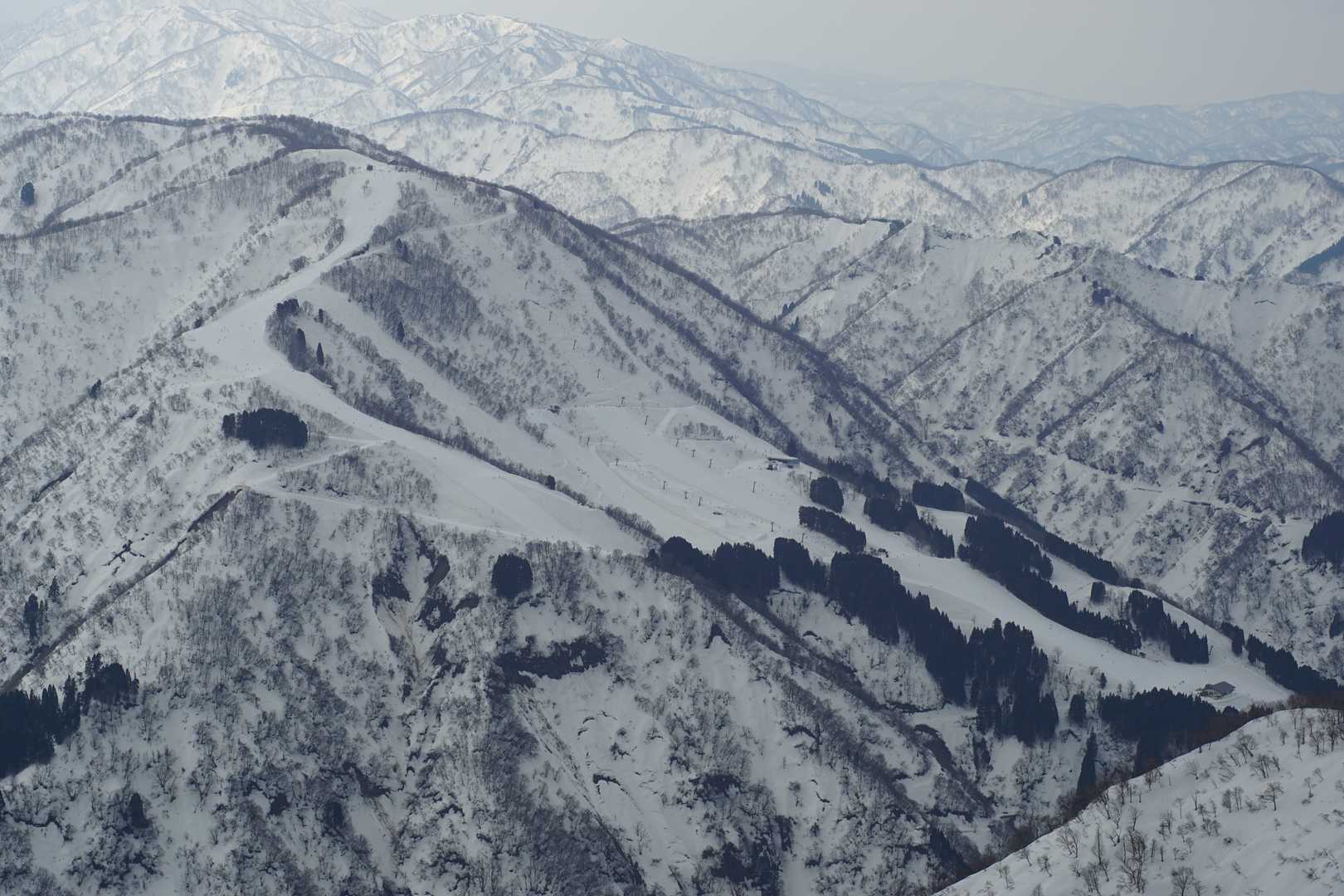セイモアスキー場全景