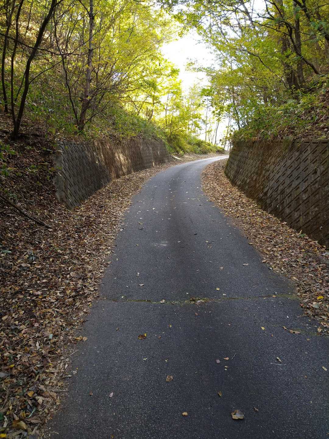 登山口近くの路肩に駐車できて、昨日のロード7.9kmなんだったんや…