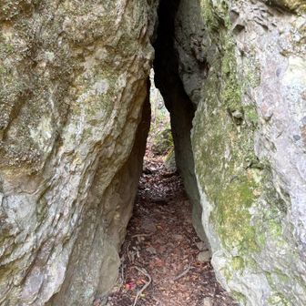 胎内くぐりもしてきました☺️