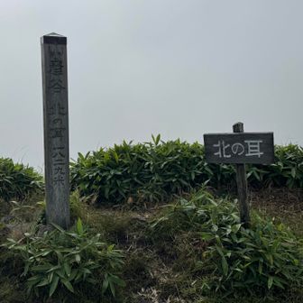 北の耳