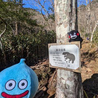 半ライス大盛り