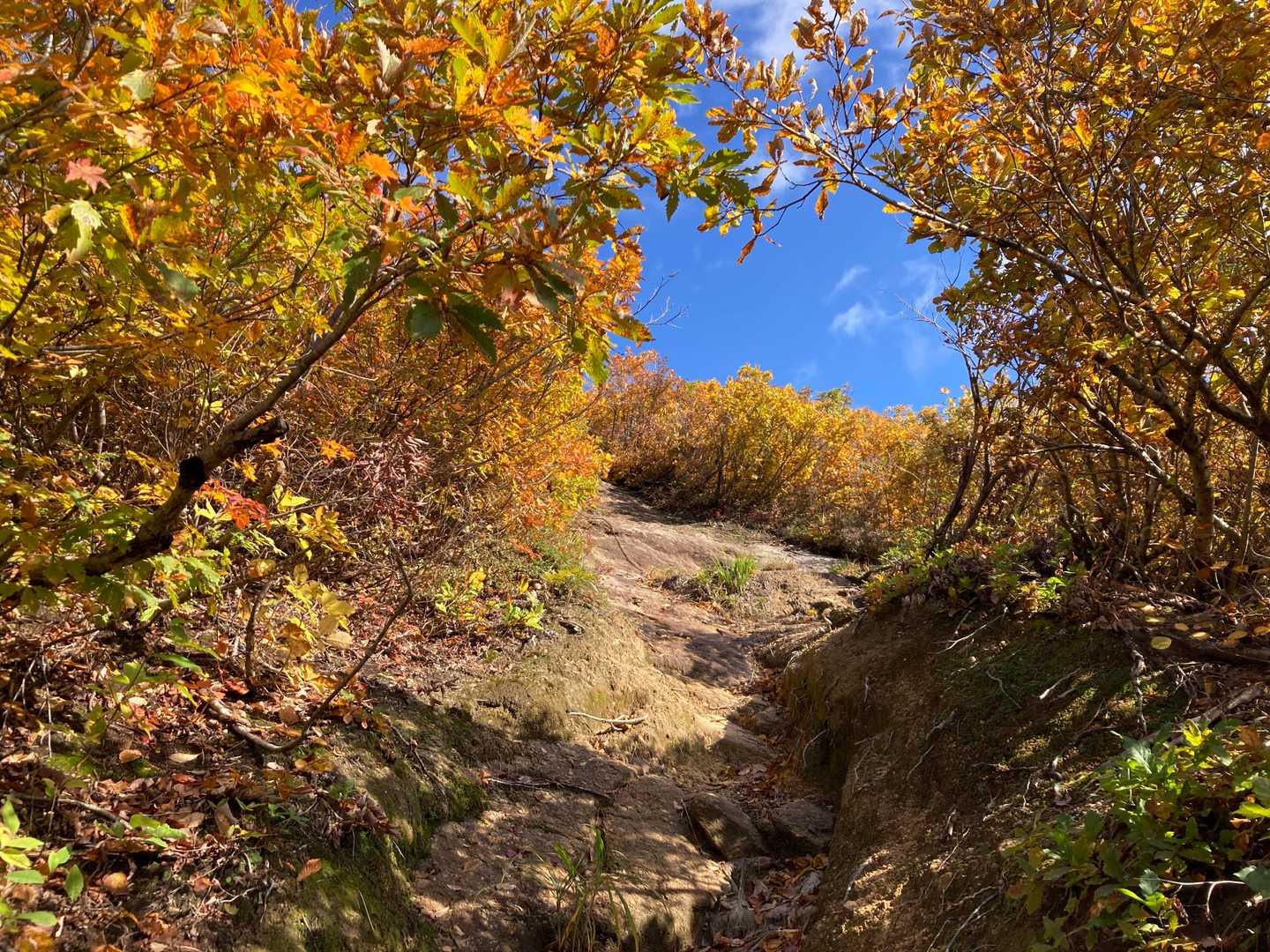 焼峰山（滝谷登山口）の写真