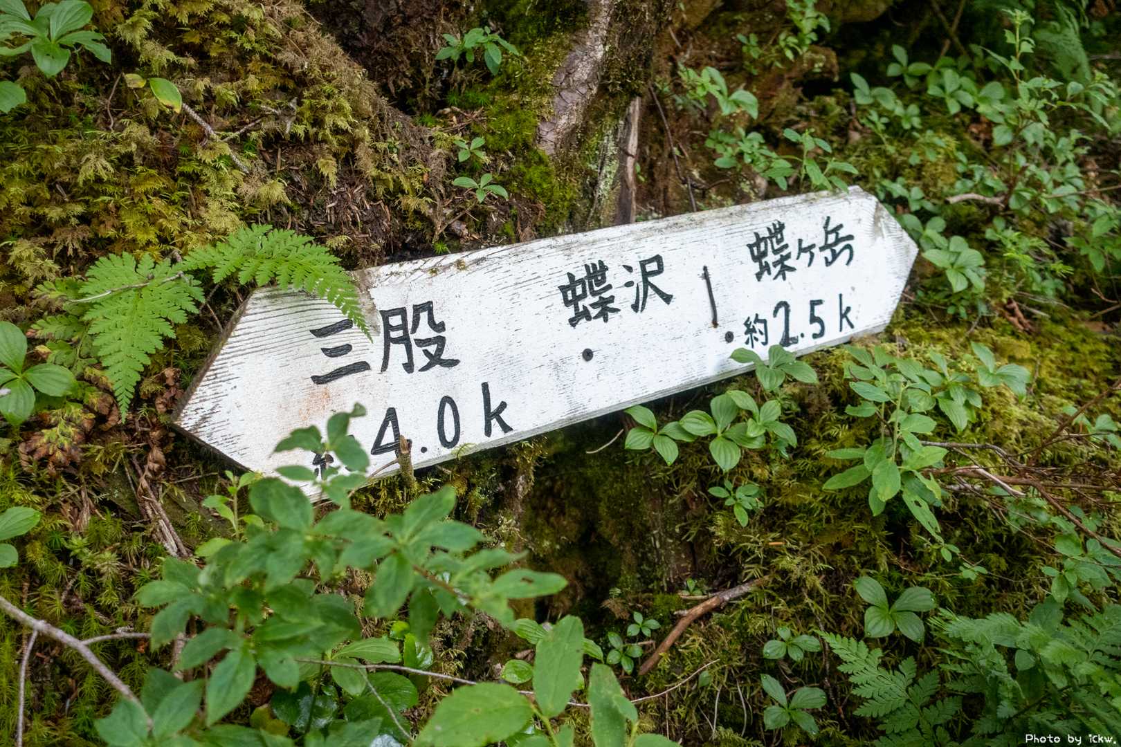 蝶沢に到着