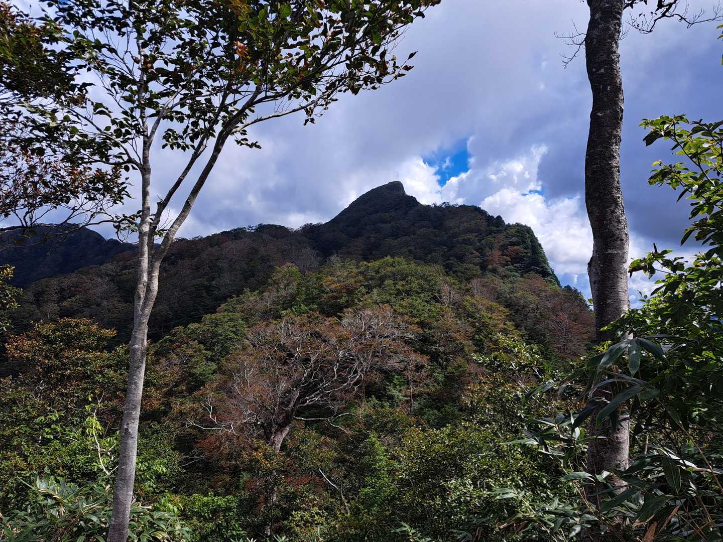 冠山峠-冠山 往復コースの写真
