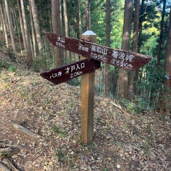 大山までまだ結構あるねぇ
やっと中間地点を過ぎたあたりか