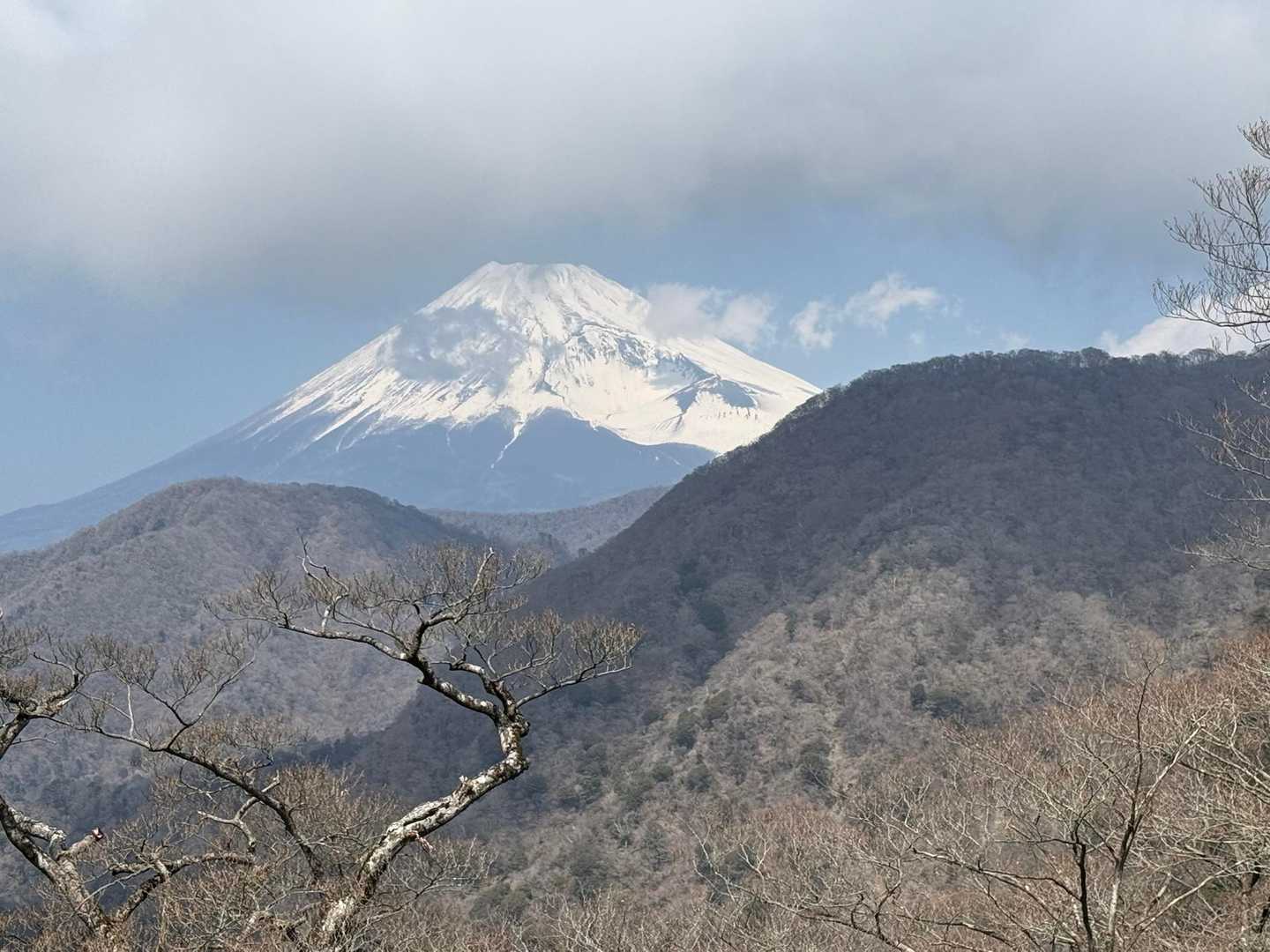 愛鷹山 往復コースの写真