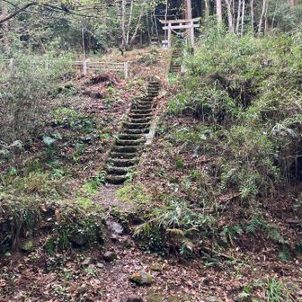 戻ってきました