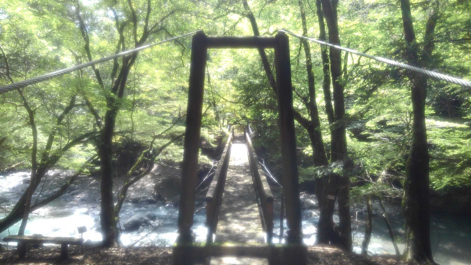 降りてきました。