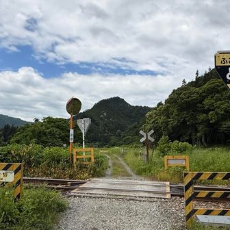 踏切渡る