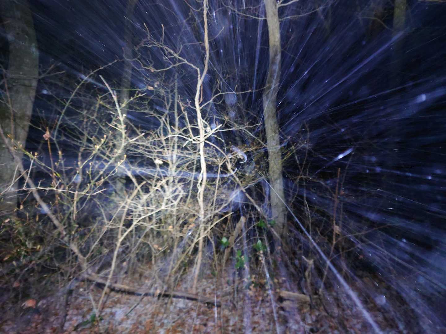 外山-五社山 往復コースの写真