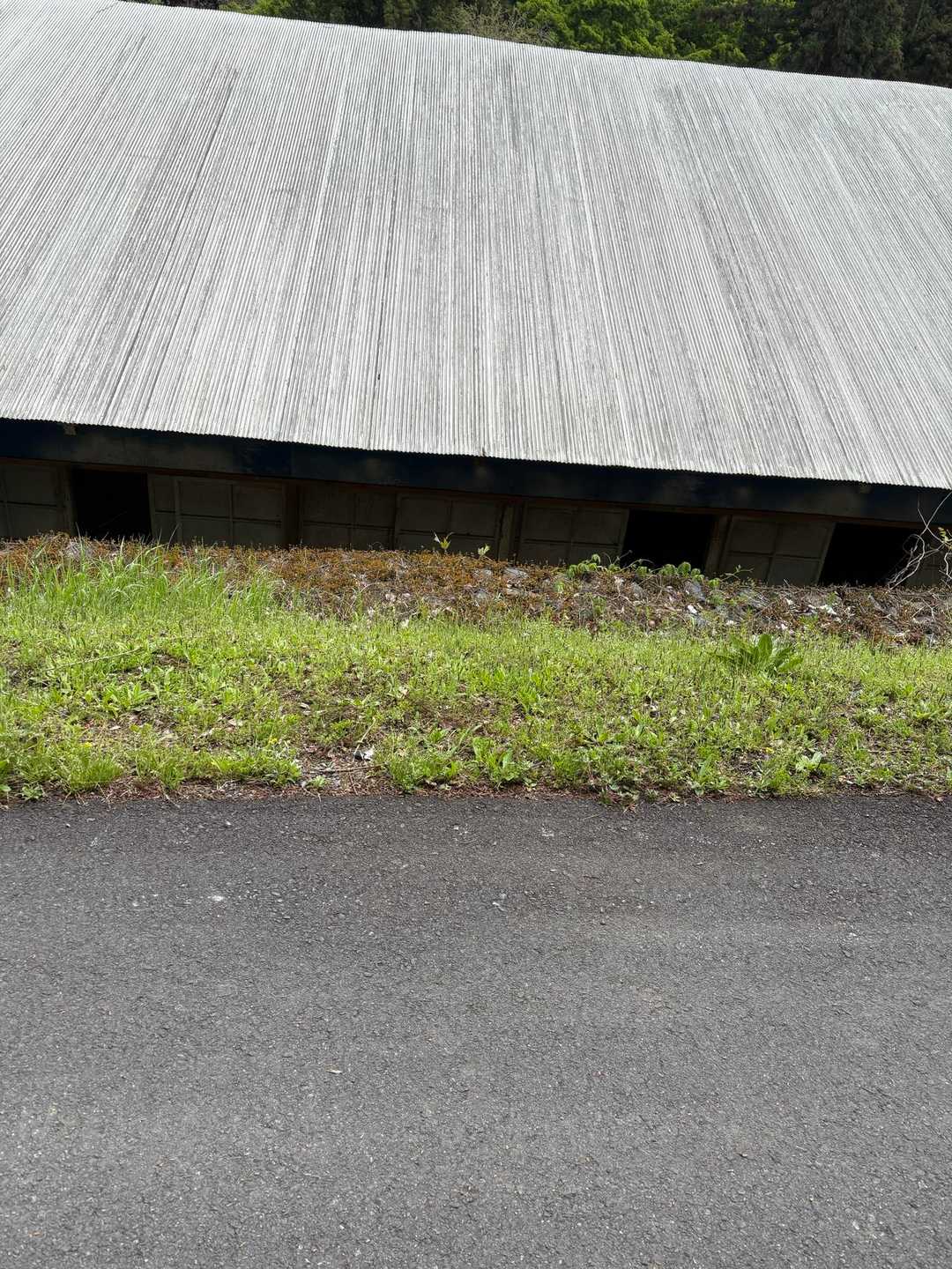 見ましたが…こちらから見えないんですがあちらからは俺が😏な顔してるのが見えたのかな？

ブー🐖

とか一匹が鳴いたら他のもブーブー言い始めたんで…先に進んだんですが…その後もブーブー言ってました🐷

一匹は間違いなくキレてました…音量がでかい😏

ブビーッ？ブヒーン？ハッキリは覚えてないんですが…

キレられる覚えはないんで…

知らんがな😏⚡️🐖🐖🐖🐖🐖🐖🐖🐖🐖