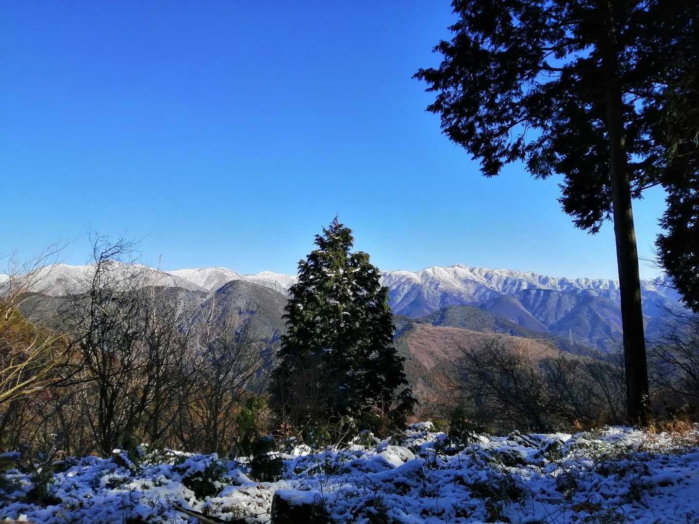 左手には、塔ノ岳とか丹沢山とか。
雪積もってるねえ。