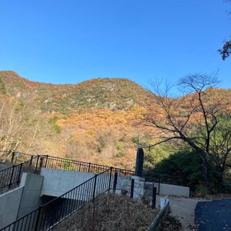 松尾池から望む