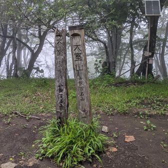 滞在時間3分
