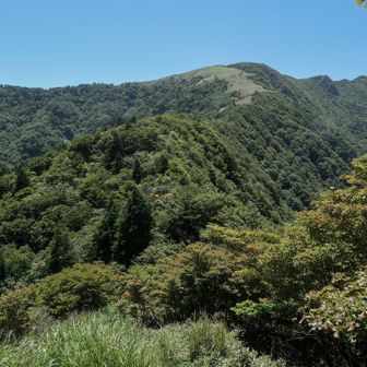 周回中誰にも逢わず
みんなどこ行った？