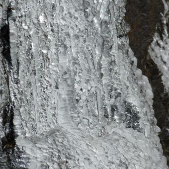 水晶のザラメ？ダイヤモンド？
キラキラ輝いていました𓂃⟡.·💎＊