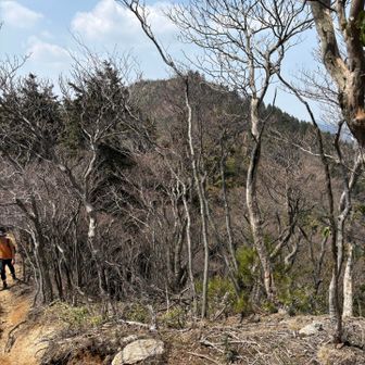 次のピーク😱
賑やかな声が聞こえてきますよ