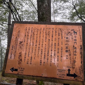 先に自害した人を含めて、総勢100人のお妃たち？　あまりに多くないかい？

千葉の戦場から、こんなところまで連れてきたとは、到底信じ難い。

創作伝説なんだから仕方がない？