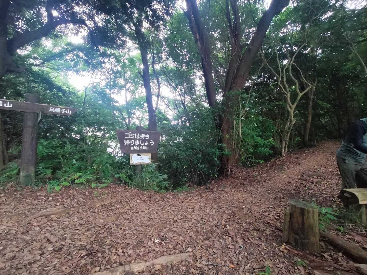 分岐です
まずは左←鷲尾山へ向かいます