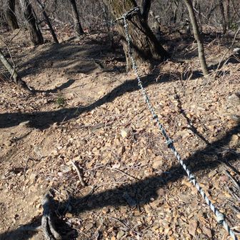 両崖山・仙人ヶ岳・石尊山 ここから馬坂山、城山へ向かおうと思うのだが---
かなり遠そう😯
かなり下降するしー
これ、戻ってくるのかー😮‍💨
チョイとめんどー😮‍💨
やめとこっかなー😮‍💨
と思いながら行く

が、手袋落として
　--２コマ戻る😨
急斜面のザレ場の下山道  間違えて
　---５コマ戻る😰
まったくー
このロープをガラガラ降りる
