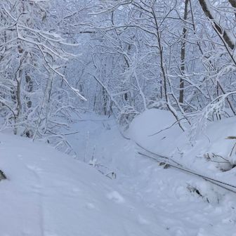 もふもふコワ坂を降りる