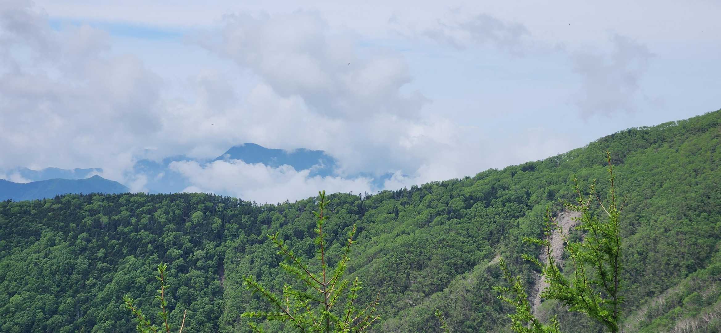 皇海山やって!!!
いつかは皇海山〜😚🌿洋平さんに皇海山行きたい〜って過去言ったことあるものの、ブラックスタートブラックゴールの皇海山はお好みやないらしい😅実際、皇海山は行ったことないんやて〜😎
まきさんは通算何回目やっけ?!やけども、庚申山荘のバイオトイレが直るまでは、ちょっときついな〜🤔直ったら、洋平さん無理矢理参加でピンキーツアーしてほしい…(笑)