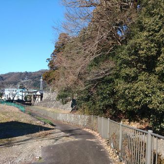 一旦河川道路までおります