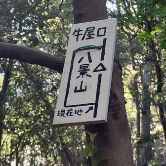 迂回しないで八景山を目指します。