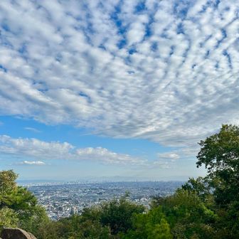 大阪方面がよく見える
うろこ雲？きれい🤩
明日からお天気は下り坂⤵︎