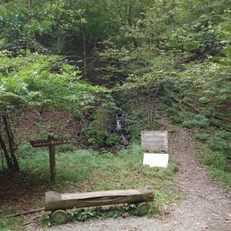 ゴルジュを過ぎると車道があり、ここから先は山の様子が変わってきます