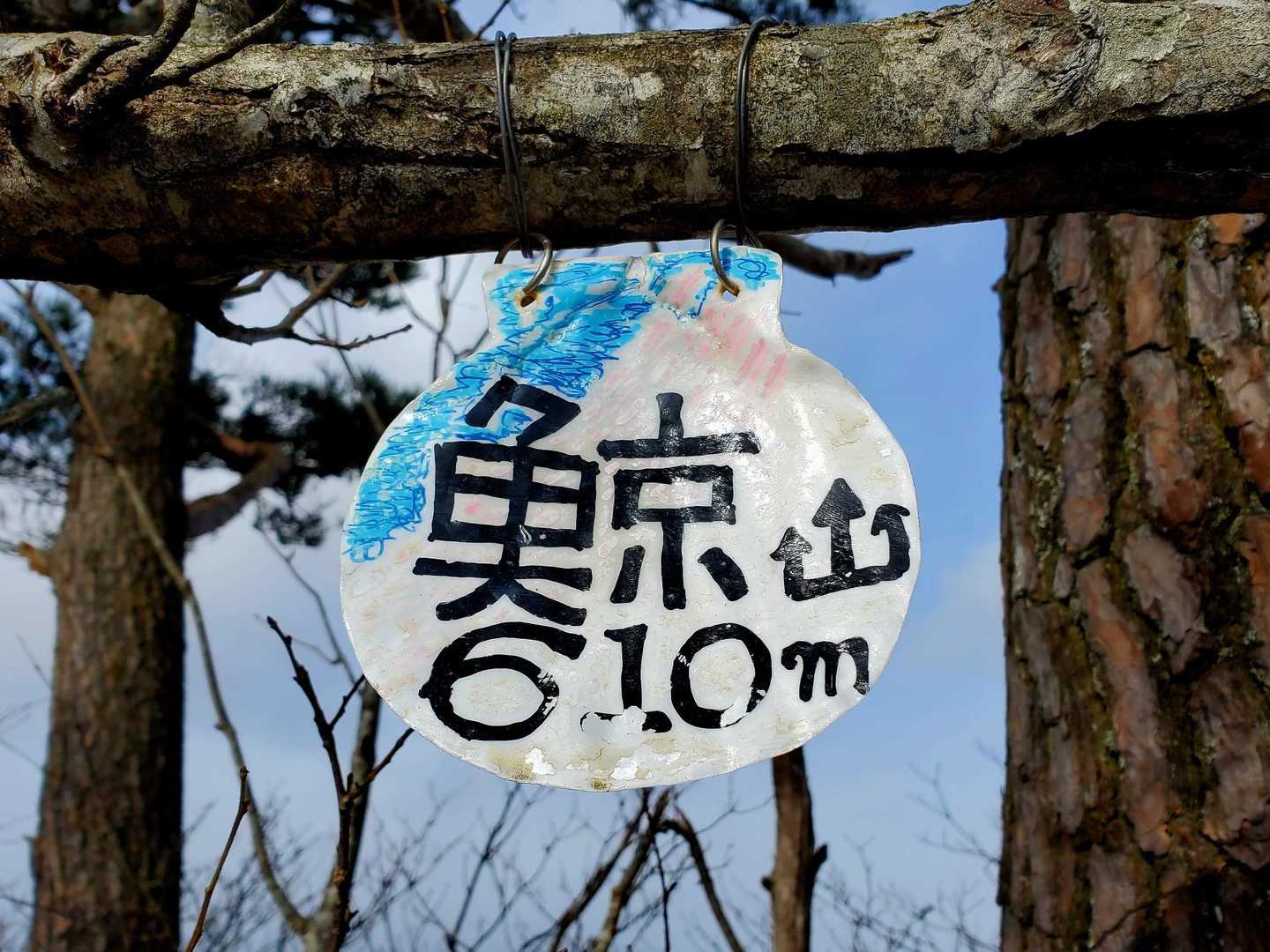 可愛い～プレート😊ホタテ貝で👍