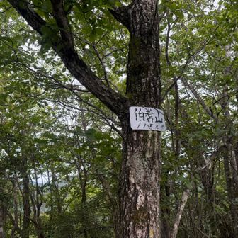 スケナイトン山頂標の『ほうきやま』