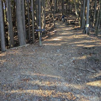 芥場峠に到着。サルギ尾根歩きは終わりです