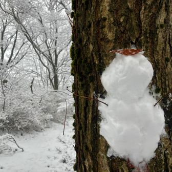 頂上付近🏔️雪ダルさん製作☃️