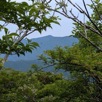 眺望はゼロかと思いきや、山頂看板の先の崖っぷちからわずかに見えた