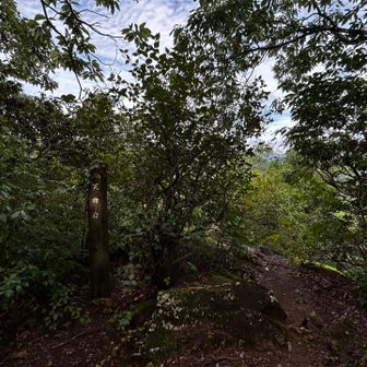 3座目天狗岩
ここは眺望ないけれど、ちょっと先に…