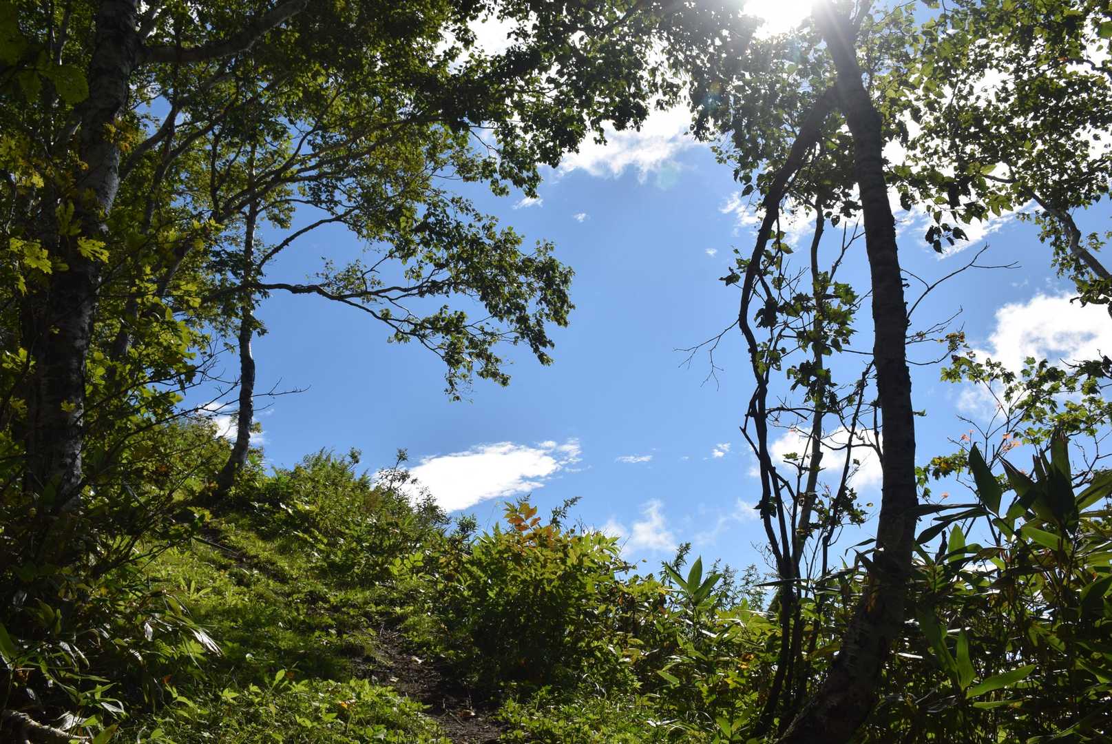尻別岳登山道入口-尻別岳 往復コースの写真