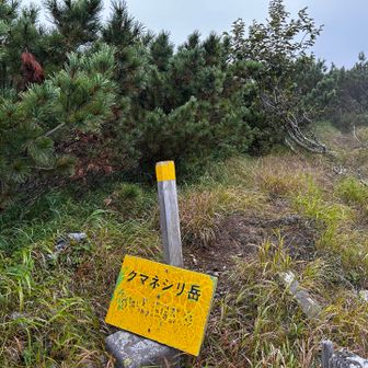 最初は、緩やかな登り
その後は、急登
稜線歩きは、岩場や藪・ハイマツ漕ぎ
木登りもしました🤣