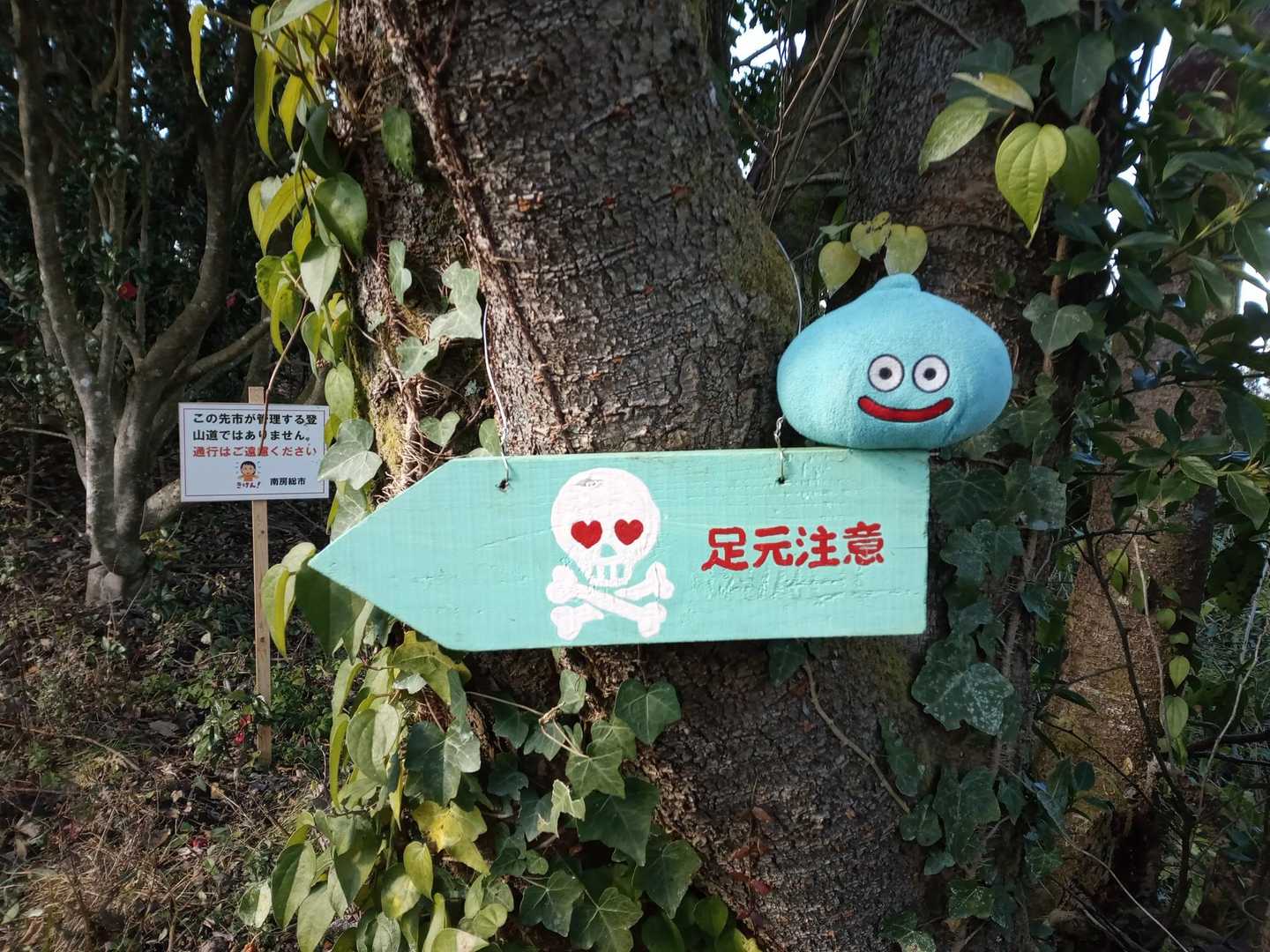 ロープいっぱいコース