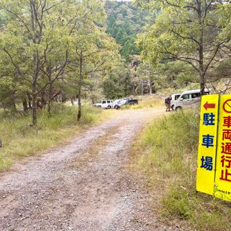長〜い林道歩いて、ようやく帰ってきました🚩
今日は足が攣らないようにポカリスエット2本と最初からストックを使い、休憩多めでのんびり歩きました😁
2日間、ちょっとハードでしたが大満喫でした😆