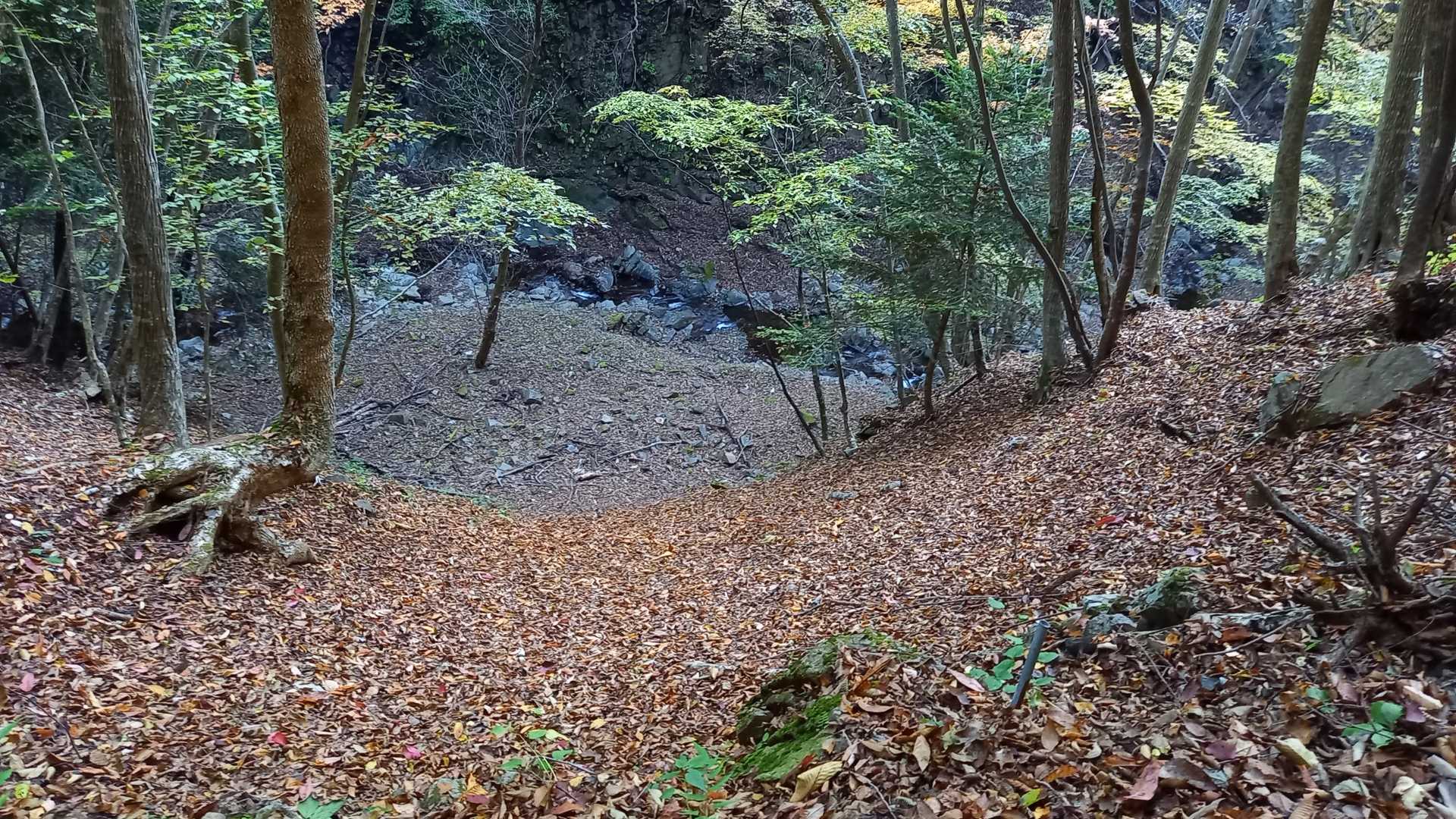 足を滑らせたら止まりそうに無い～😱
