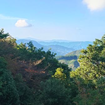 たかーい山が見えるが...
バサッと､切ってくれー😤